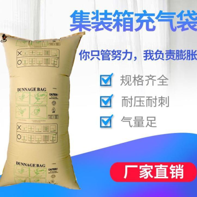 奥立PP材质集装箱充气袋